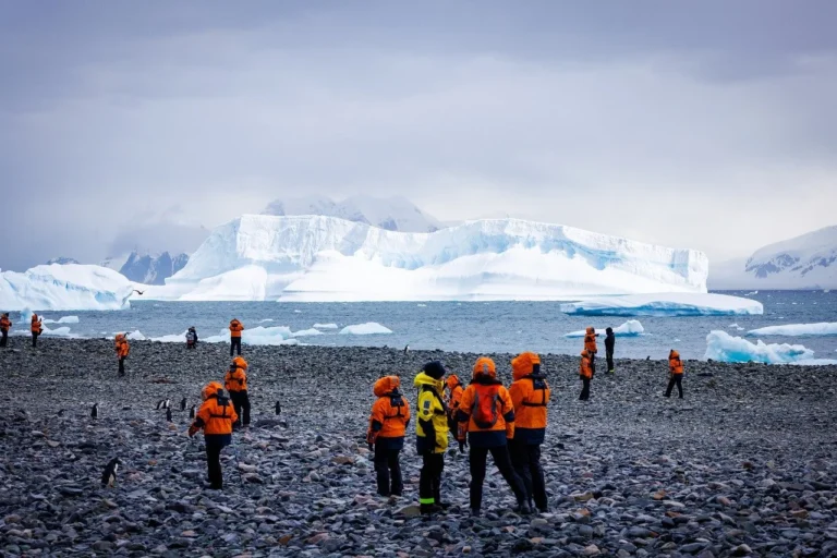 Lire la suite à propos de l’article À la découverte de l’Antarctique : l’ultime aventure polaire