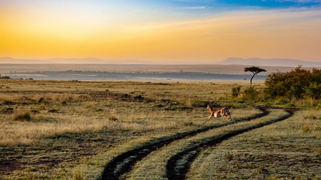 destinations de voyage en Afrique
