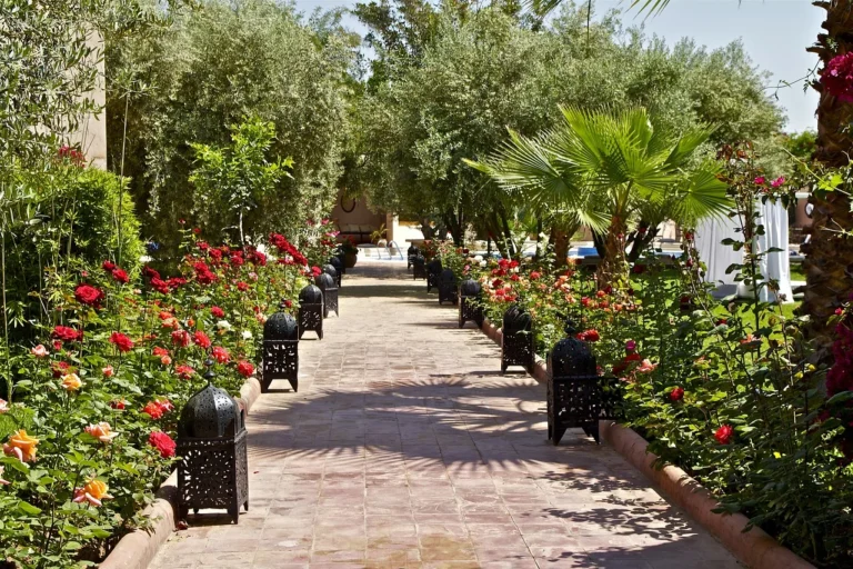 Lire la suite à propos de l’article Les jardins de Marrakech : oasis de calme