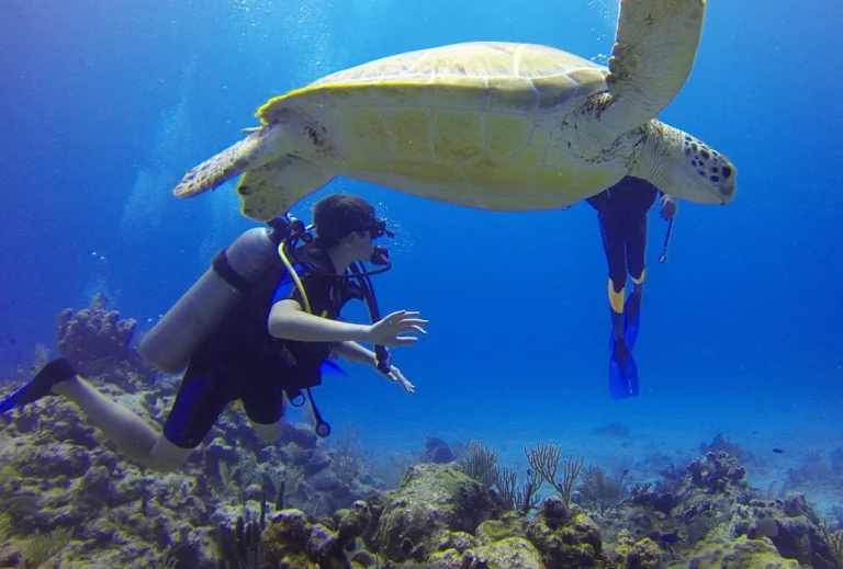 Lire la suite à propos de l’article Les meilleurs endroits au monde pour faire de la plongée sous-marine