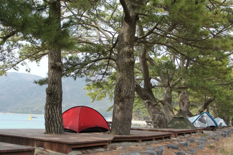 Lire la suite à propos de l’article Les meilleurs endroits au monde pour faire du camping en bord de plage