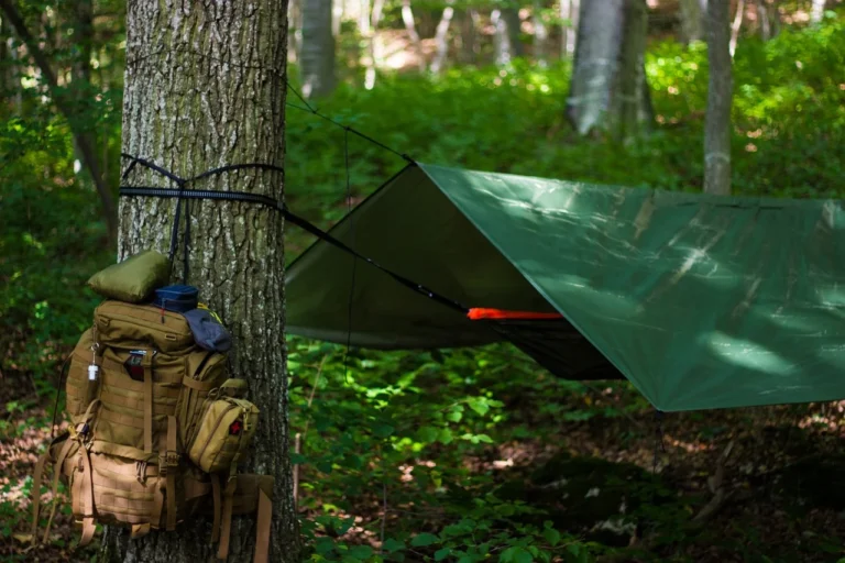 Lire la suite à propos de l’article Les meilleurs endroits au monde pour faire du camping sauvage