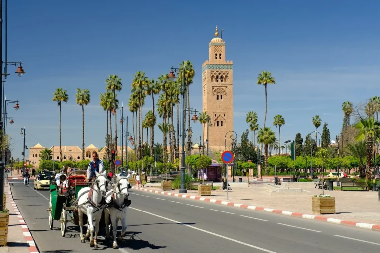 Lire la suite à propos de l’article Marrakech en famille : activités pour les enfants