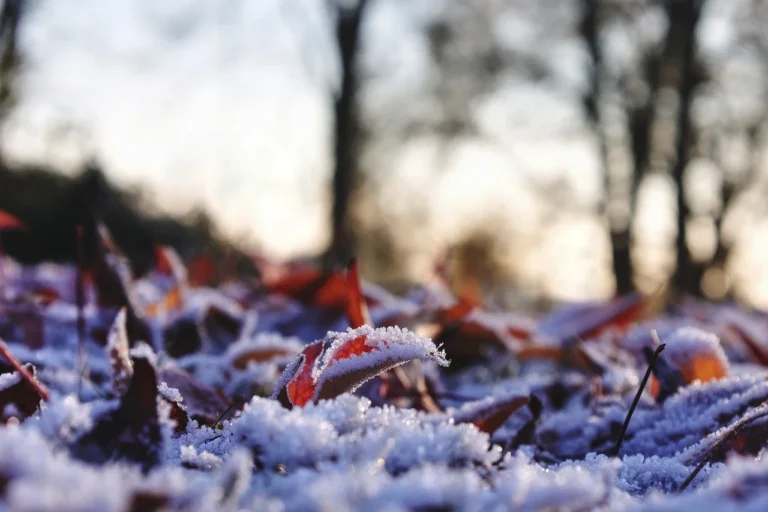 Lire la suite à propos de l’article Où voyager en février ? Évasion hivernale et aventures exotiques